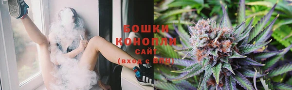 ГАЛЛЮЦИНОГЕННЫЕ ГРИБЫ Лиски