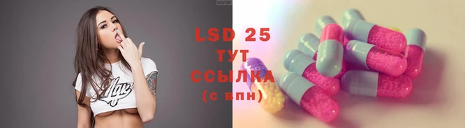прущие грибы Липки