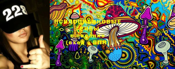 ГАЛЛЮЦИНОГЕННЫЕ ГРИБЫ Лиски
